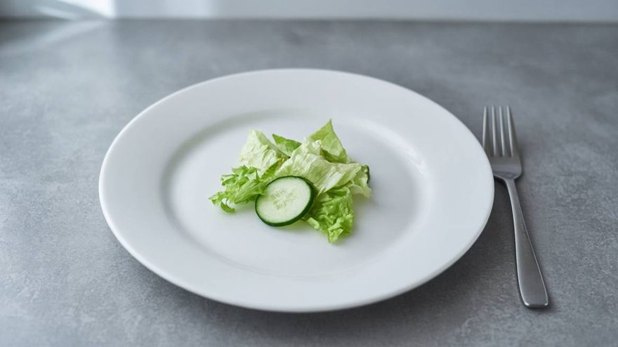 Nearly empty plate with a few lettuce leaves